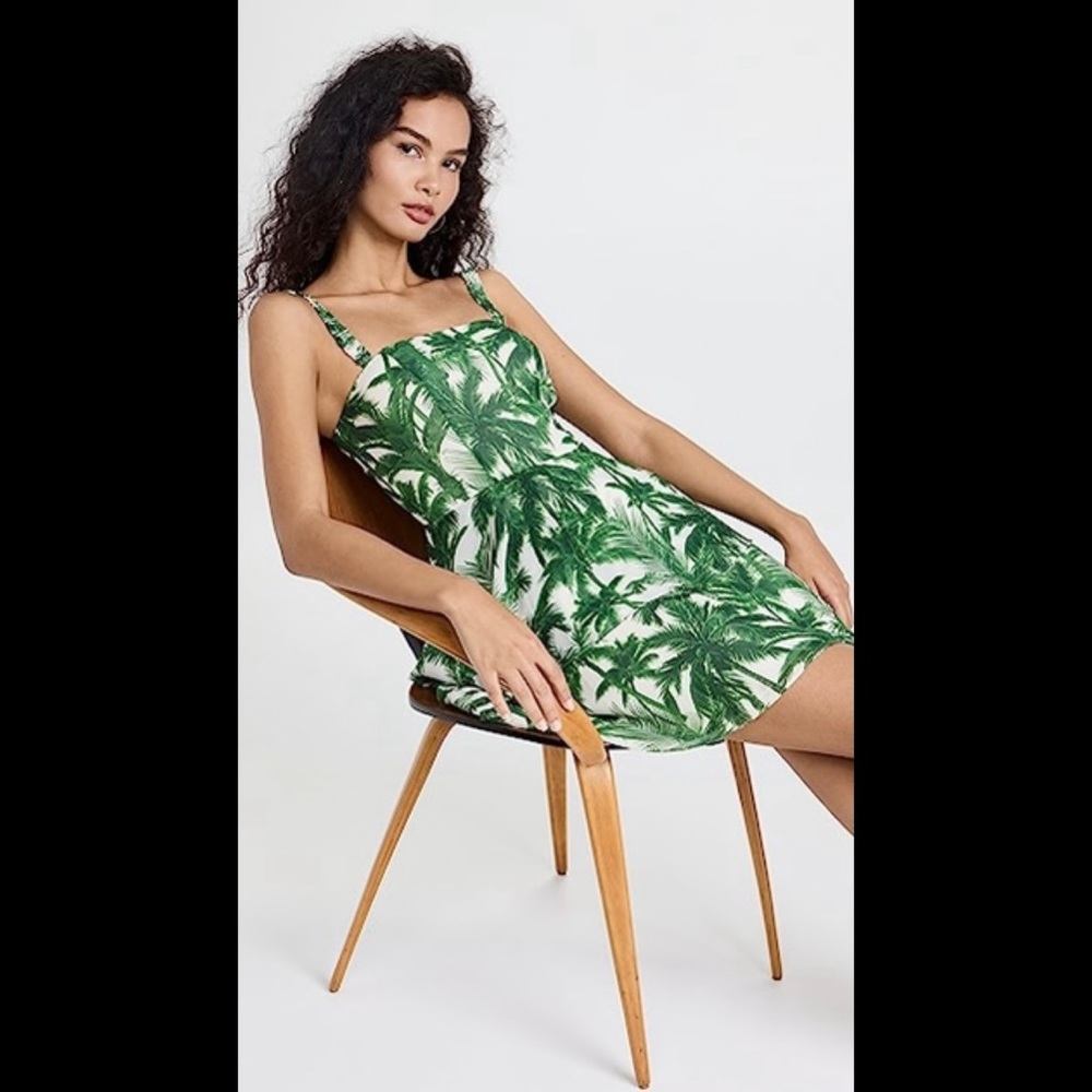 Amur Ashton Ruffle Dress 🌴
